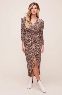 Maven Animal Print Dress