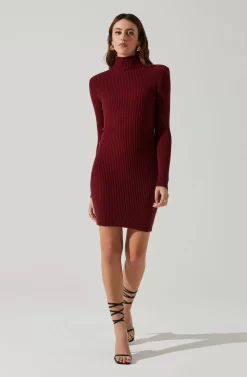 Gwendolyn Turtleneck Sweater Mini Dress 20 Gwendolyn Turtleneck Sweater Mini Dress -ASTR the Label Store ACDR100970SH WINE 1 scaled