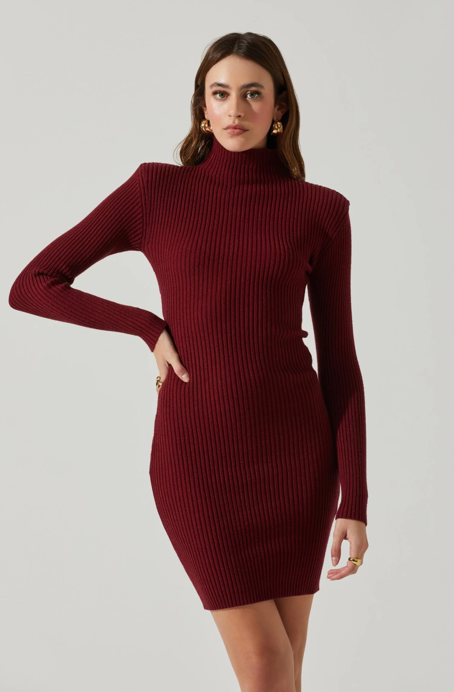 Gwendolyn Turtleneck Sweater Mini Dress 8 Gwendolyn Turtleneck Sweater Mini Dress - Image 8