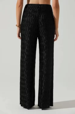 Savine Textured Pants -ASTR the Label Store ACP7259S BLACK 4 scaled