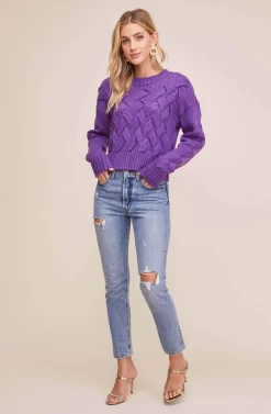 3D Basketweave Knit Sweater -ASTR the Label Store ACT15243 PURPLE 2 scaled