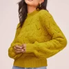 Pointelle Sweater